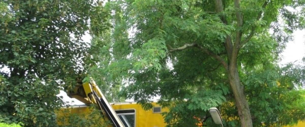 A overhead lines service vehicle of class 711 with the work platform at track level, preparing to cut a tree