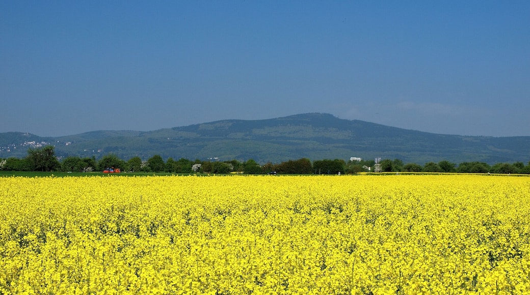 The Altkönig, as seen from Steinbach