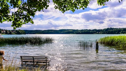 A beautiful seat on a bench in the lake of Buckow in the Märkische Schweiz at Schermützelsee.