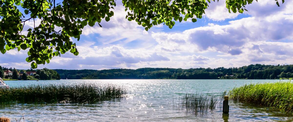 A lake with a bench partially submerged in water, surrounded by greenery and a clear sky.