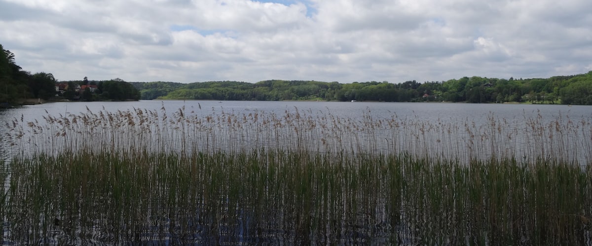 Bildtitel: Schermützelsee, Seeblick FotoNummer: 5463 Bundesland: Brandenburg Schutzgebiet 1: Naturpark(NP) "Naturpark Märkische Schweiz" Gebiets-Nummer: 3450-701 Schutzgebiet 2: Landschaftsschutzgebiet(LSG) "Naturpark Märkische Schweiz" Gebiets-Nummer: 3450-601 Schutzgebiet 3: Fauna-Flora-Habitat-Gebiet (FFH) "Schermützelsee" Gebiets-Nummer: DE 3450-307 Schutzgebiet 4: Special Protection Area (Vogelschutzgebiet) (SPA) "Märkische Schweiz" Gebiets-Nummer: DE DE 3450-401 Ortsangabe: Stadtgebiet Buckow, Blick über Schermützelsee Richtung Westen