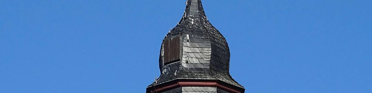 Walberberg, Rheindorfer Burg: partial view of the tower