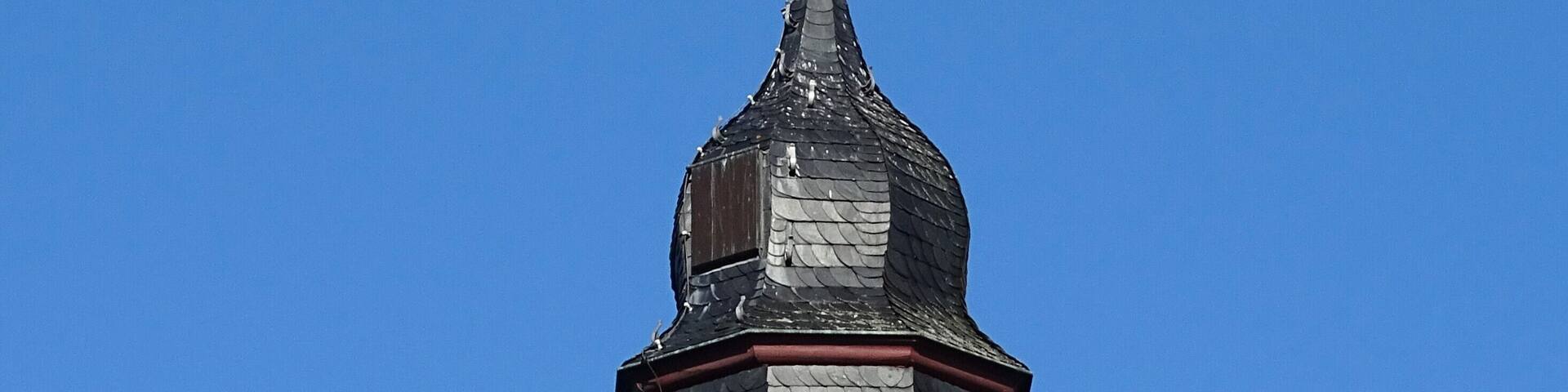 Walberberg, Rheindorfer Burg: partial view of the tower