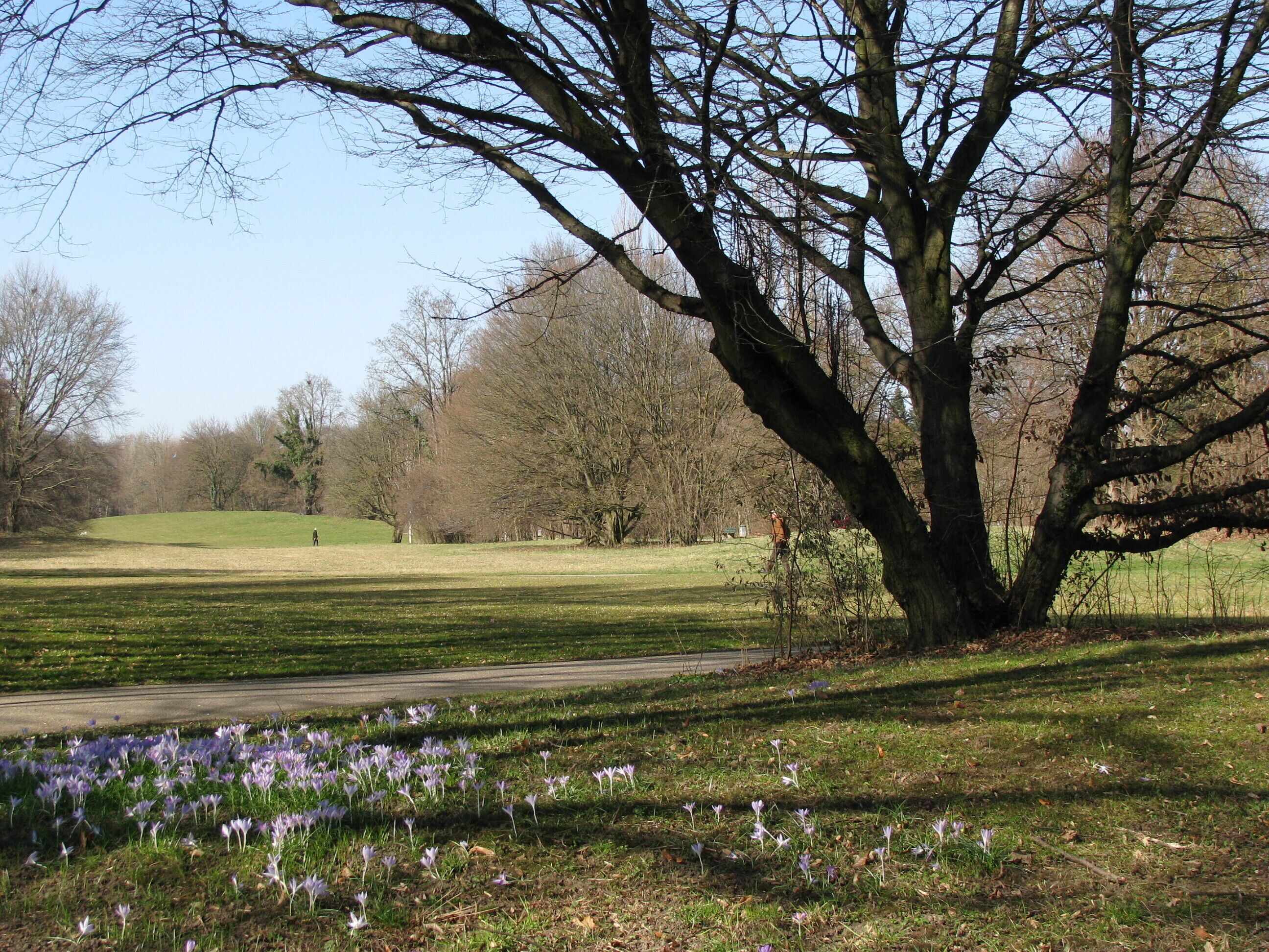 Grünanlage an der Wahnfriedallee