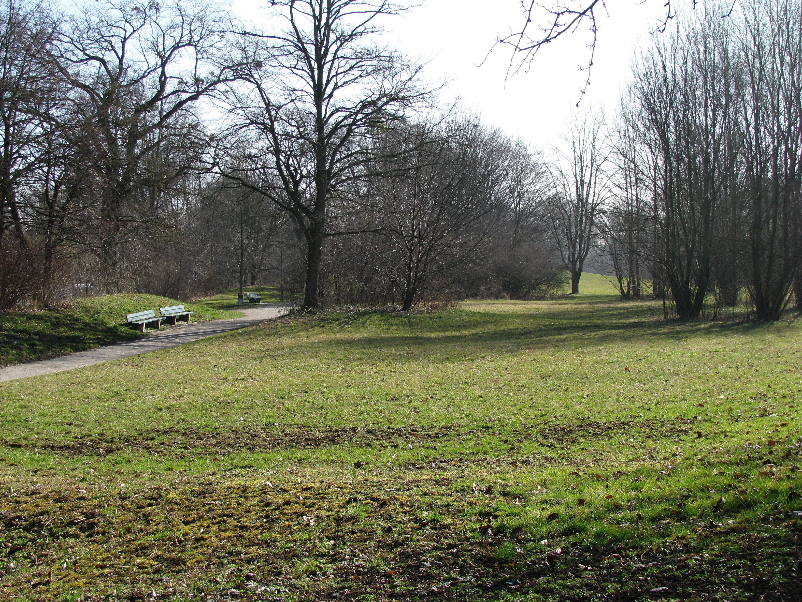 Grünanlage an der Wahnfriedallee; Bereich östlich der Effnerstraße