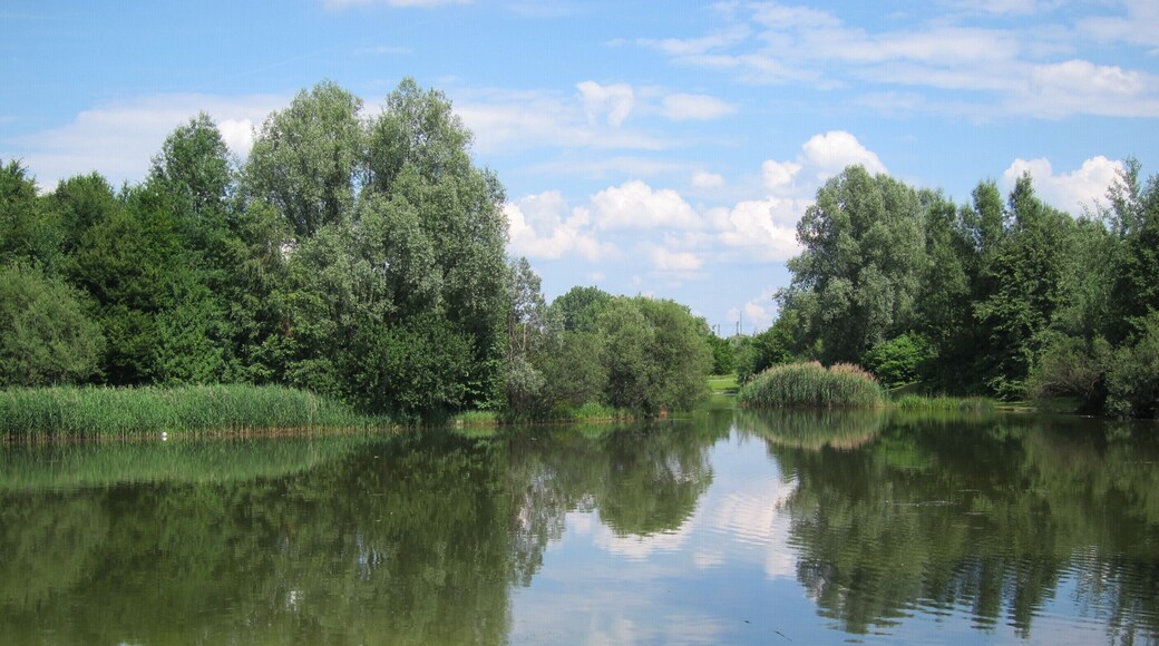 Denninger Weiher im Denninger Anger (Zamilapark)
