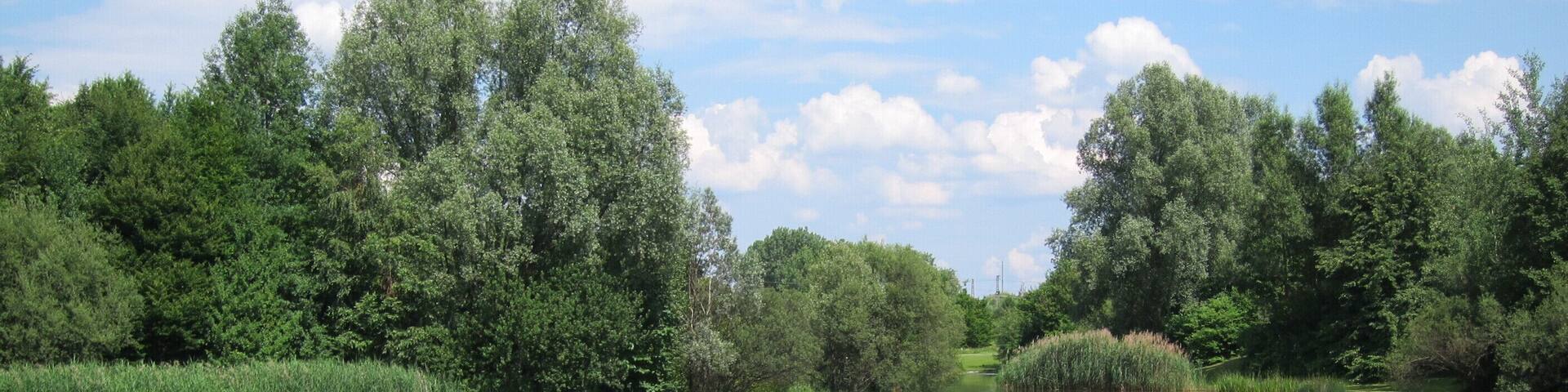 Denninger Weiher im Denninger Anger (Zamilapark)