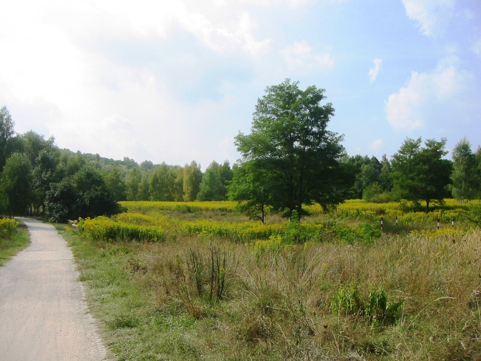 Impression vom Wuhletal-Wanderweg, Berlin