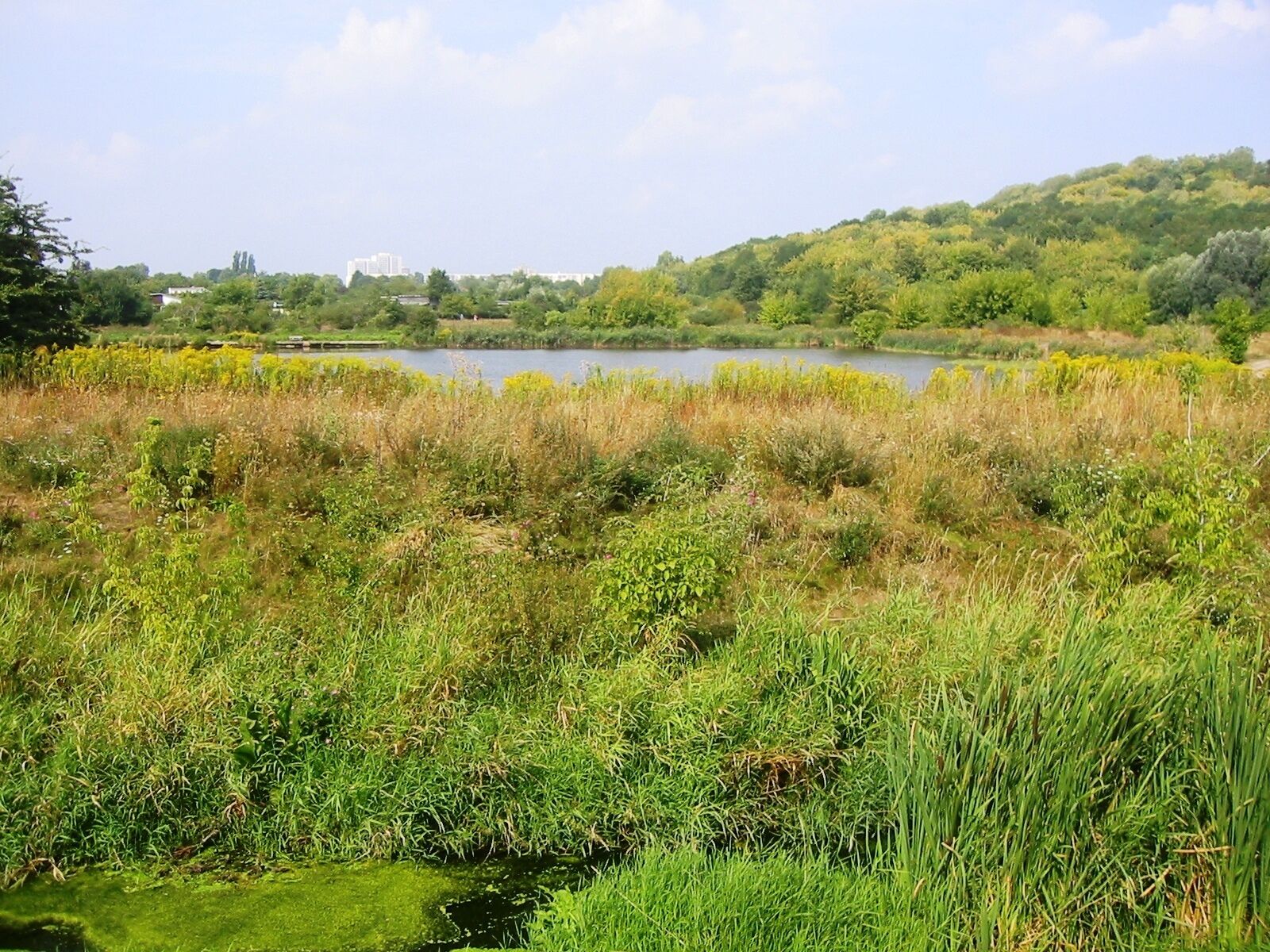 Impression vom Wuhletal-Wanderweg, Berlin
