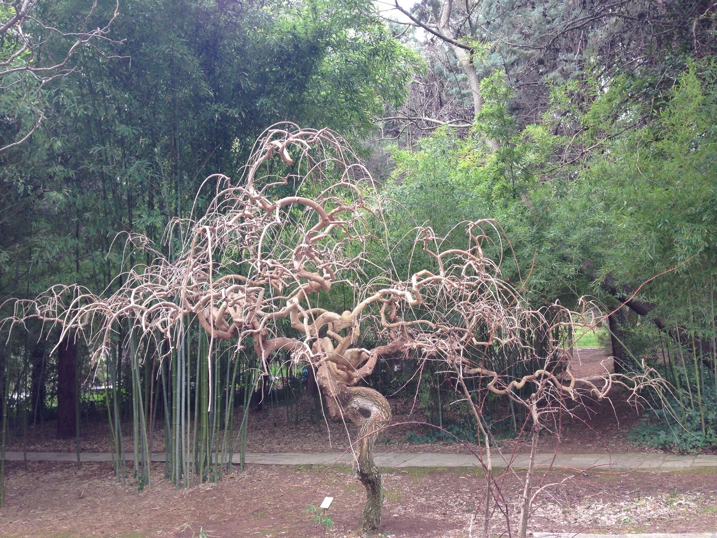 A great place to relax