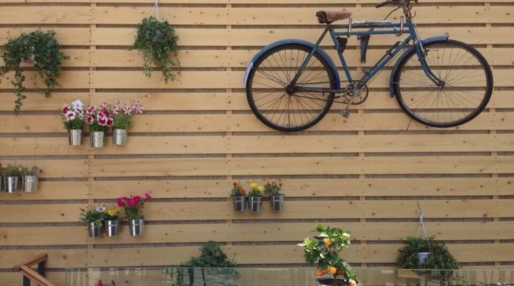 A nice place to enjoy your iced coffee. A beautiful roof garden with interesting deco ideas.