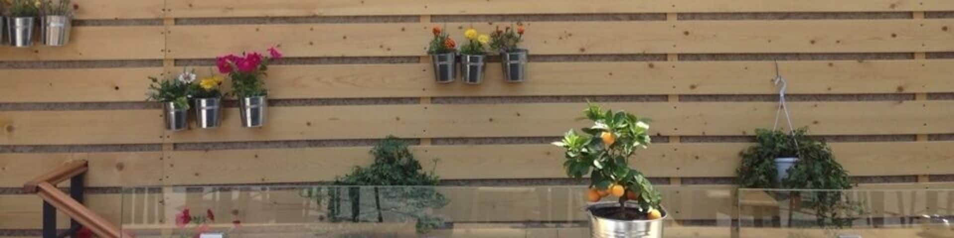 A nice place to enjoy your iced coffee. A beautiful roof garden with interesting deco ideas.