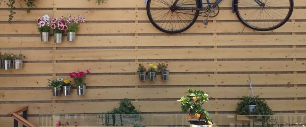 A wall-mounted bicycle, potted plants, and a metal container.
