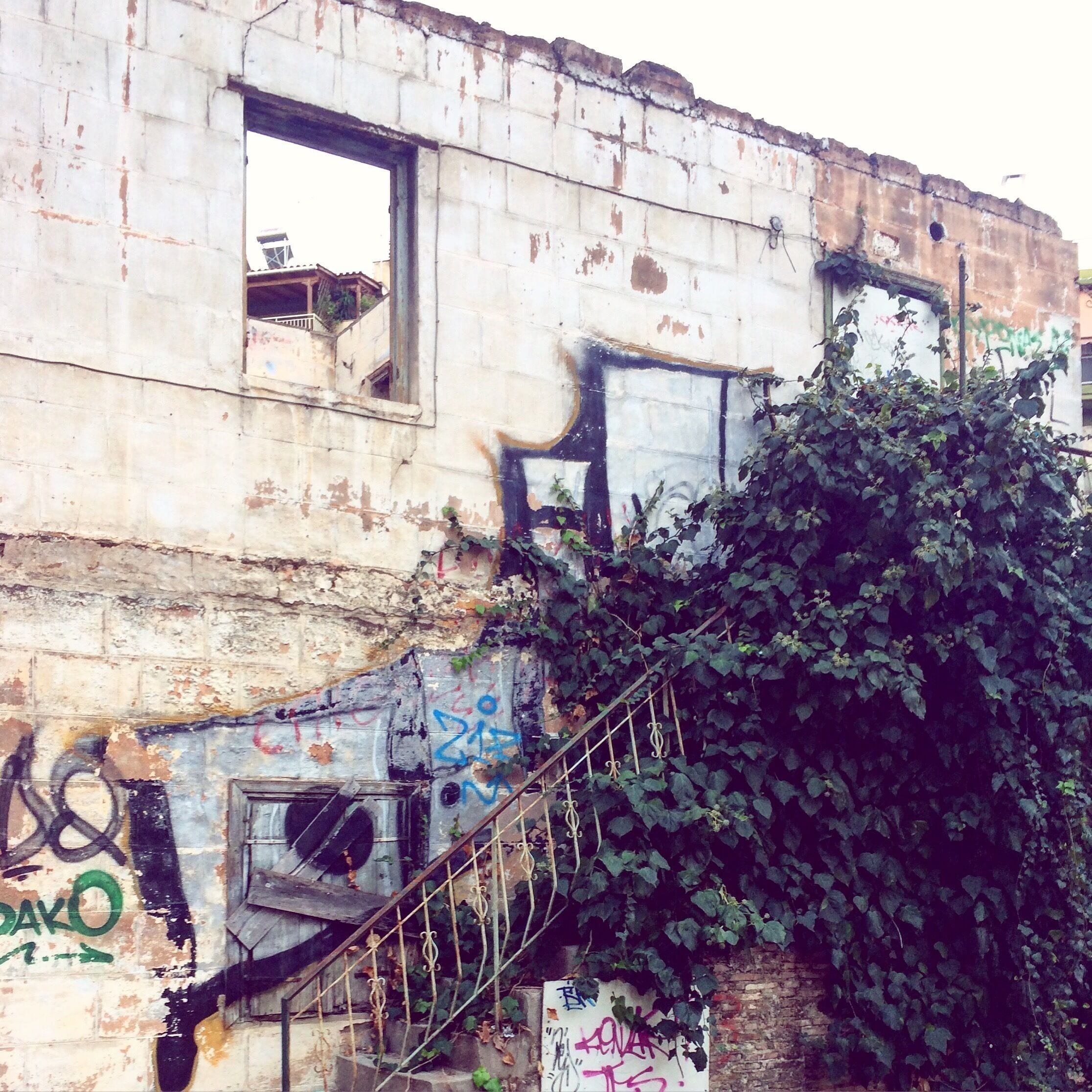 A dilapidated building with graffiti, a broken window, and overgrown vegetation.