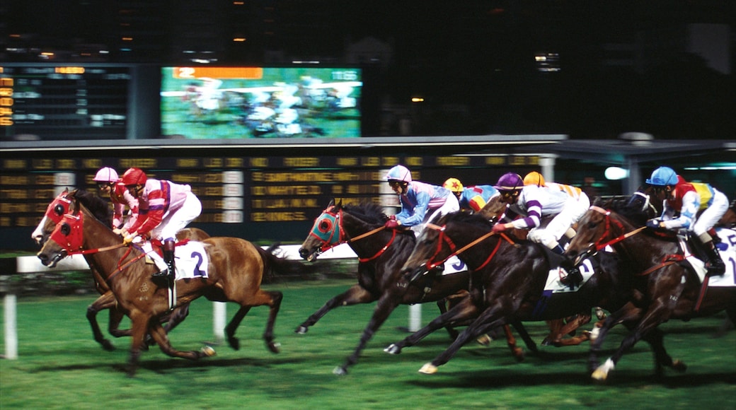 Happy Valley which includes horseriding and a sporting event