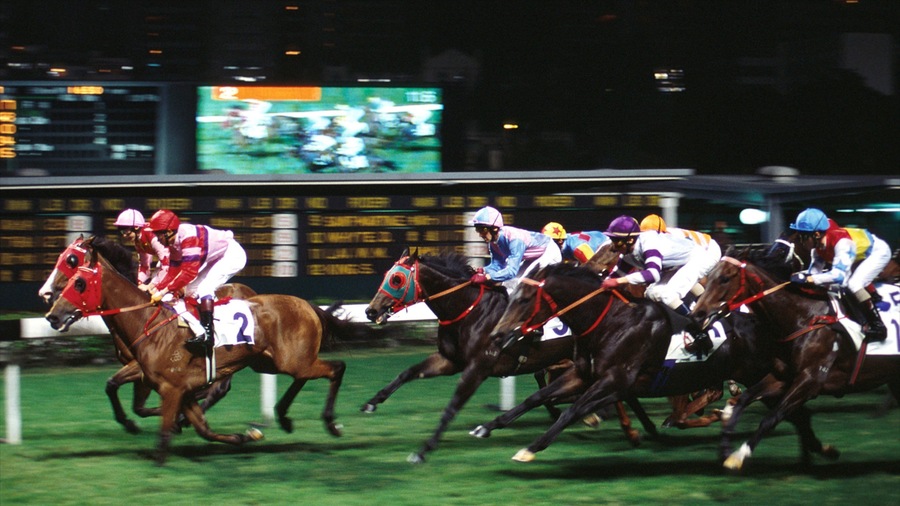 Happy Valley featuring horse riding and a sporting event
