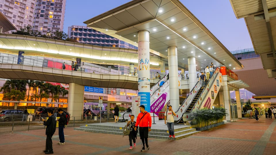 Hung Hom which includes street scenes and night scenes