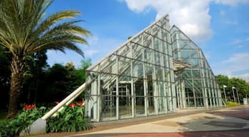 Menteng showing modern architecture