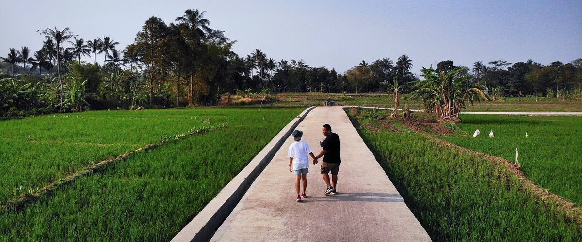 A pathway through a lush green field with palm trees and banana plants.