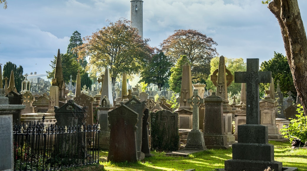 The old cemetery of Dublin.