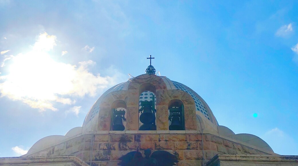 Shepherd field church