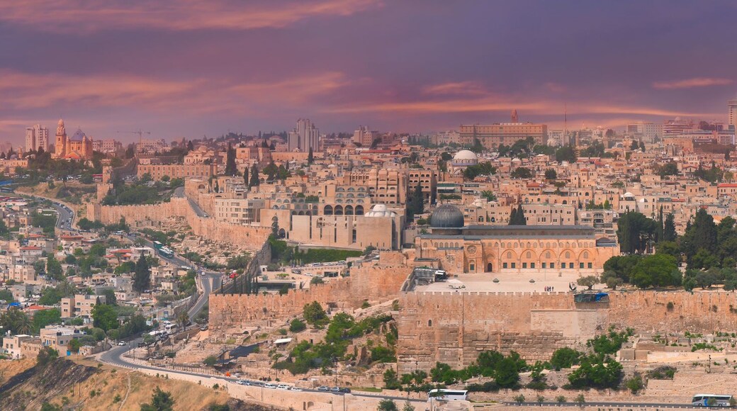 Une vue panoramique d’une ville historique, avec un imposant dôme doré, d’anciens remparts et un mélange d’architecture moderne et traditionnelle.