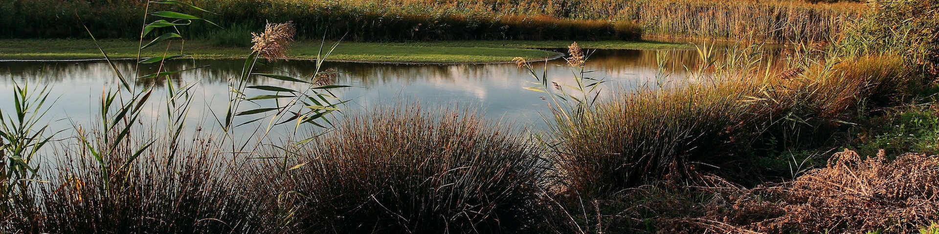 The authorisation for taking photos of this object was provided by the World Wide Fund for Nature Italy.