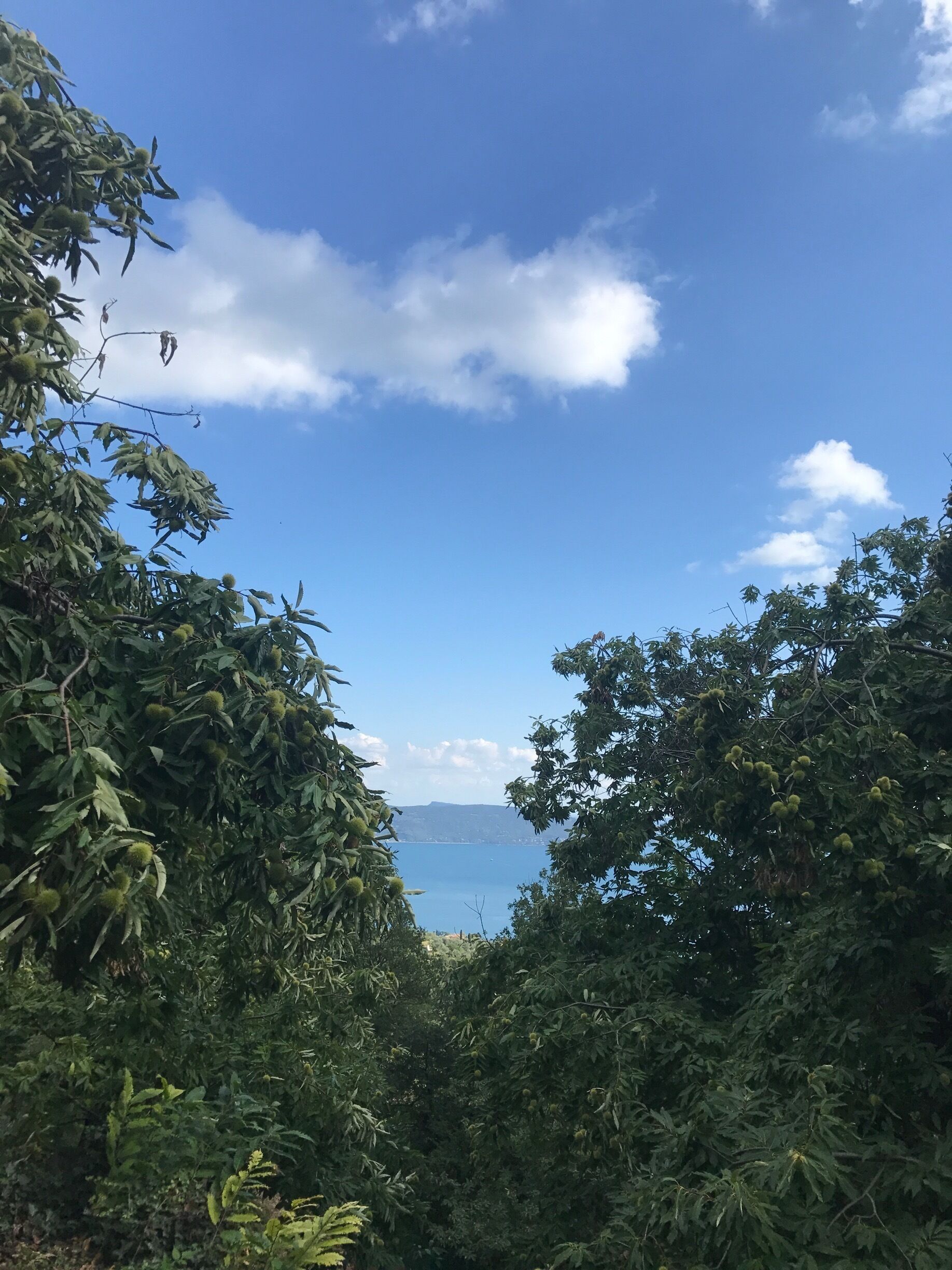 amazing spot in the mountains 