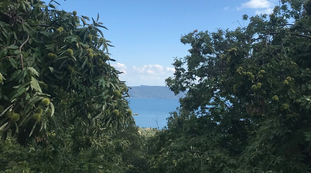 amazing spot in the mountains