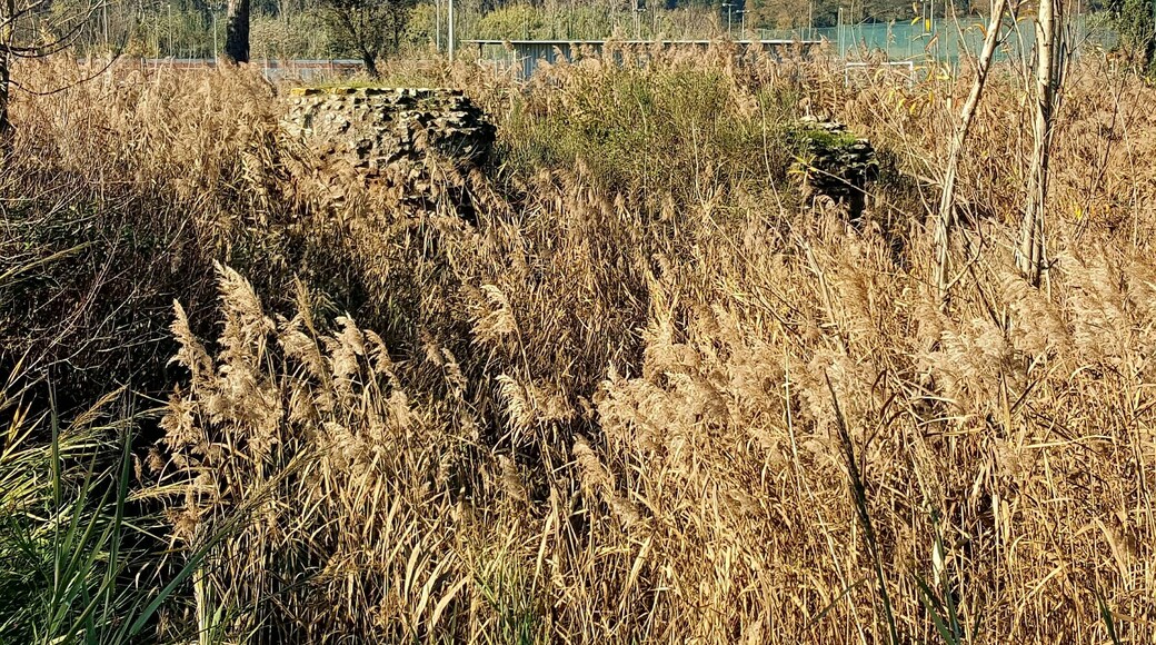Area di ritrovamento e resti del Mausoleo di Tor di Quinto a Roma, vicino al Tiro a segno nazionale.