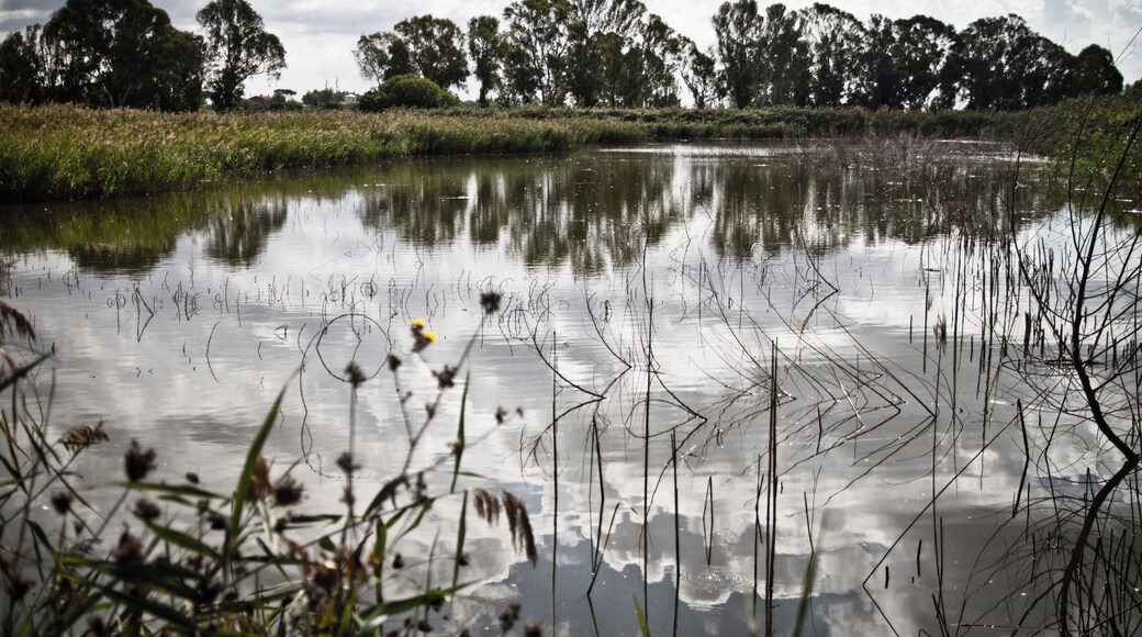 The authorisation for taking photos of this object was provided by the World Wide Fund for Nature Italy.