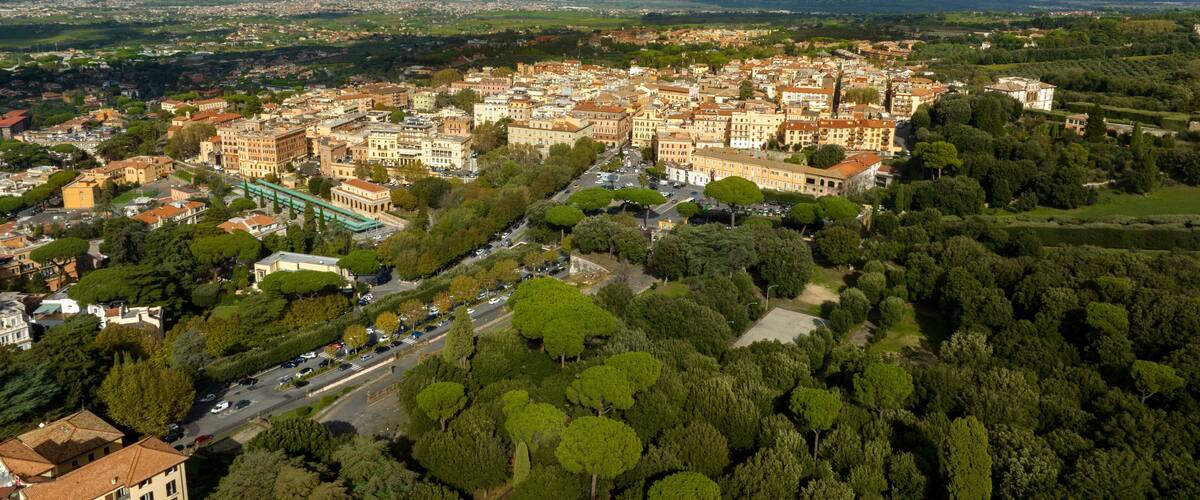 A panoramic view of a historic town with dense architecture, a prominent bridge, and rolling hills in the background.