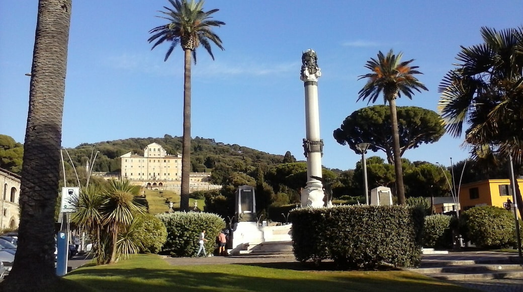 Frascati