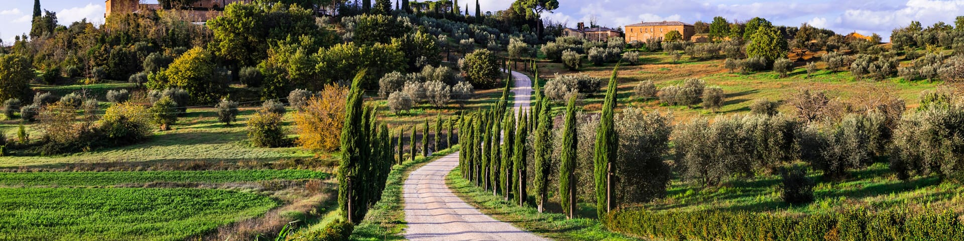 Italy Tuscany Famous Cypress Road Winding to Estate Villa near Montalcino Sunset over Val d'Orcia Scenic Hilltop Countryside Romantic Italian Travel Destination Landscape, wall art print