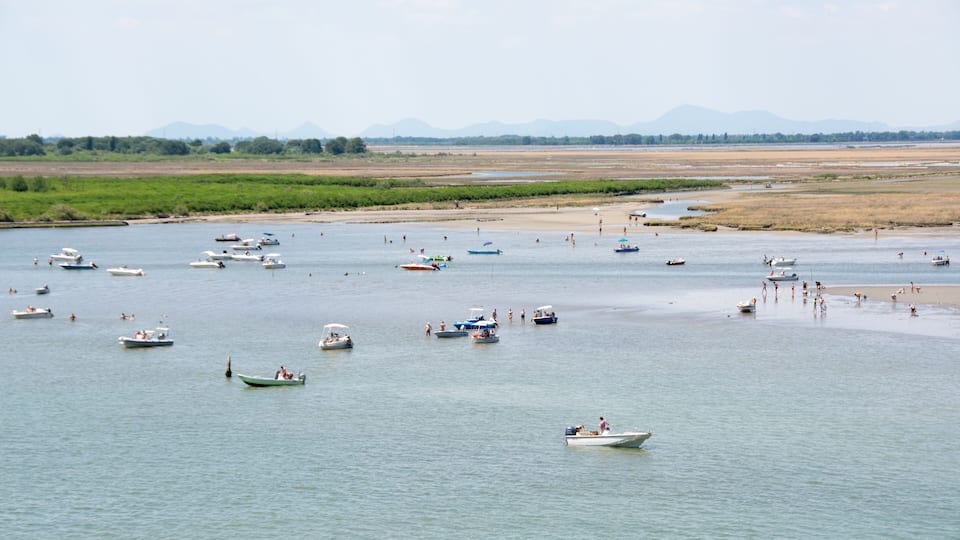 Marghera Lagoon , Italy