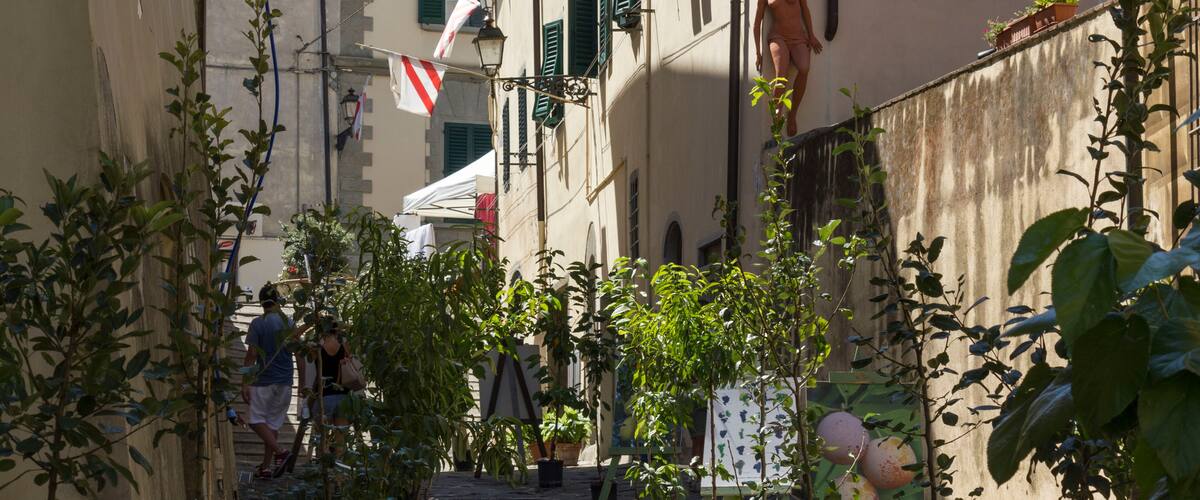 A narrow street with buildings, green shutters, and a statue.