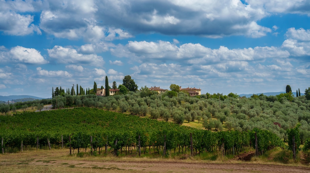 Rural landscape of Chianti, Tuscany, Italy