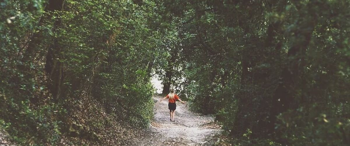 A forested path with dense greenery and a person walking away from the viewer.