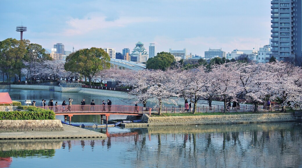 Apr 7, 2012 at 17:27, Osaka 桜ノ宮
