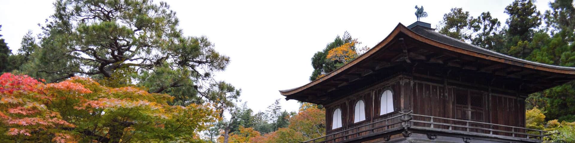 A traditional Japanese building surrounded by autumn foliage and a small pond.