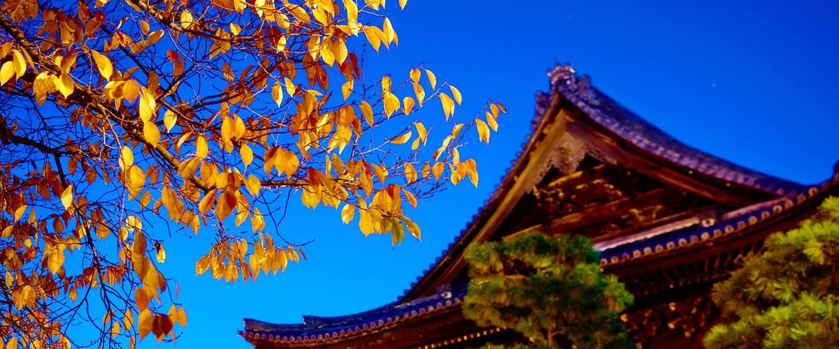 the roof of Kennin-ji temple at night, inside the Gion district of Kyoto during autumn.