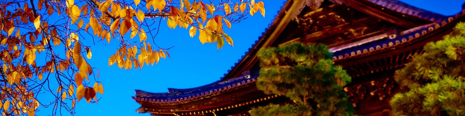 the roof of Kennin-ji temple at night, inside the Gion district of Kyoto during autumn.