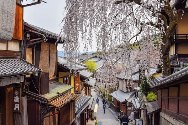 A narrow street flanked by traditional wooden buildings with a cherry blossom tree in full bloom.