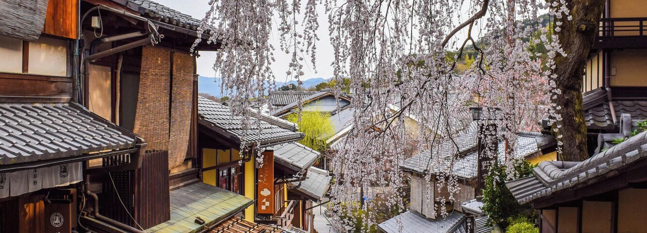 Una calle estrecha bordeada por edificios tradicionales de madera con un cerezo en flor.