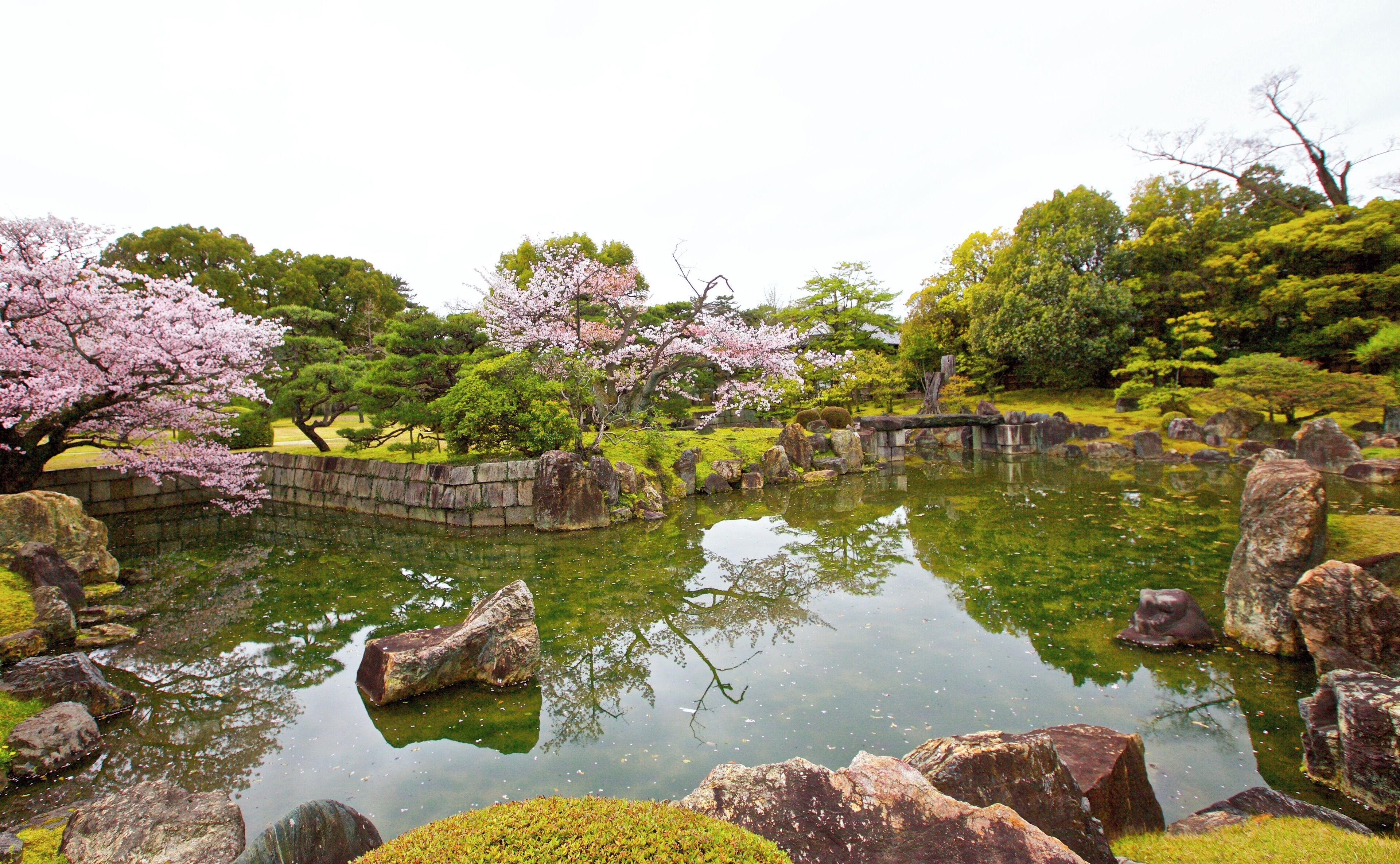 Kyoto, 桜, sakura, Nijo-Castle