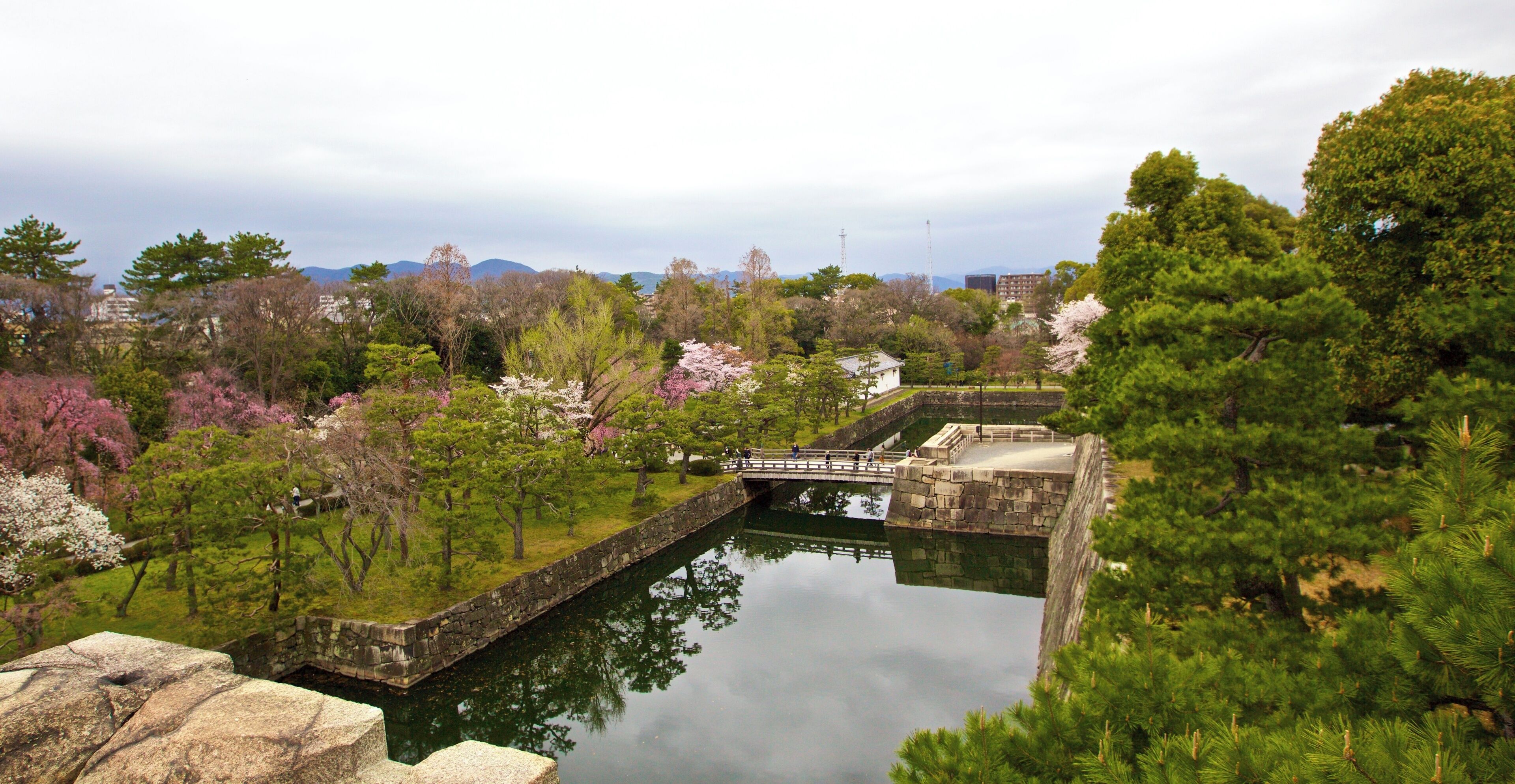 Kyoto, 桜, sakura, Nijo-Castle