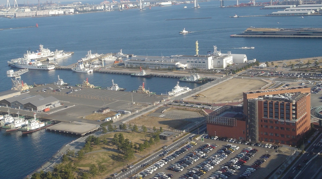 View of Yokohama from the Clock Ferris Wheel