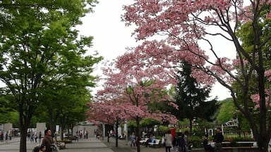 ぐんまこどもの国