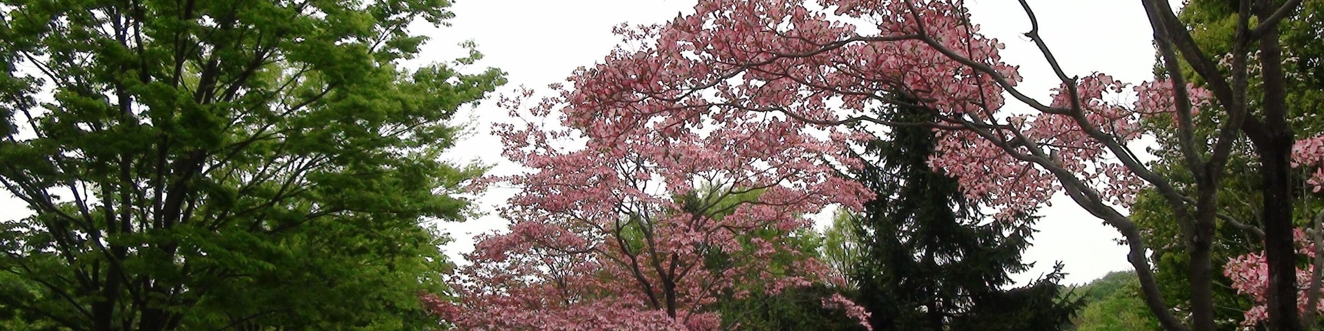 ぐんまこどもの国