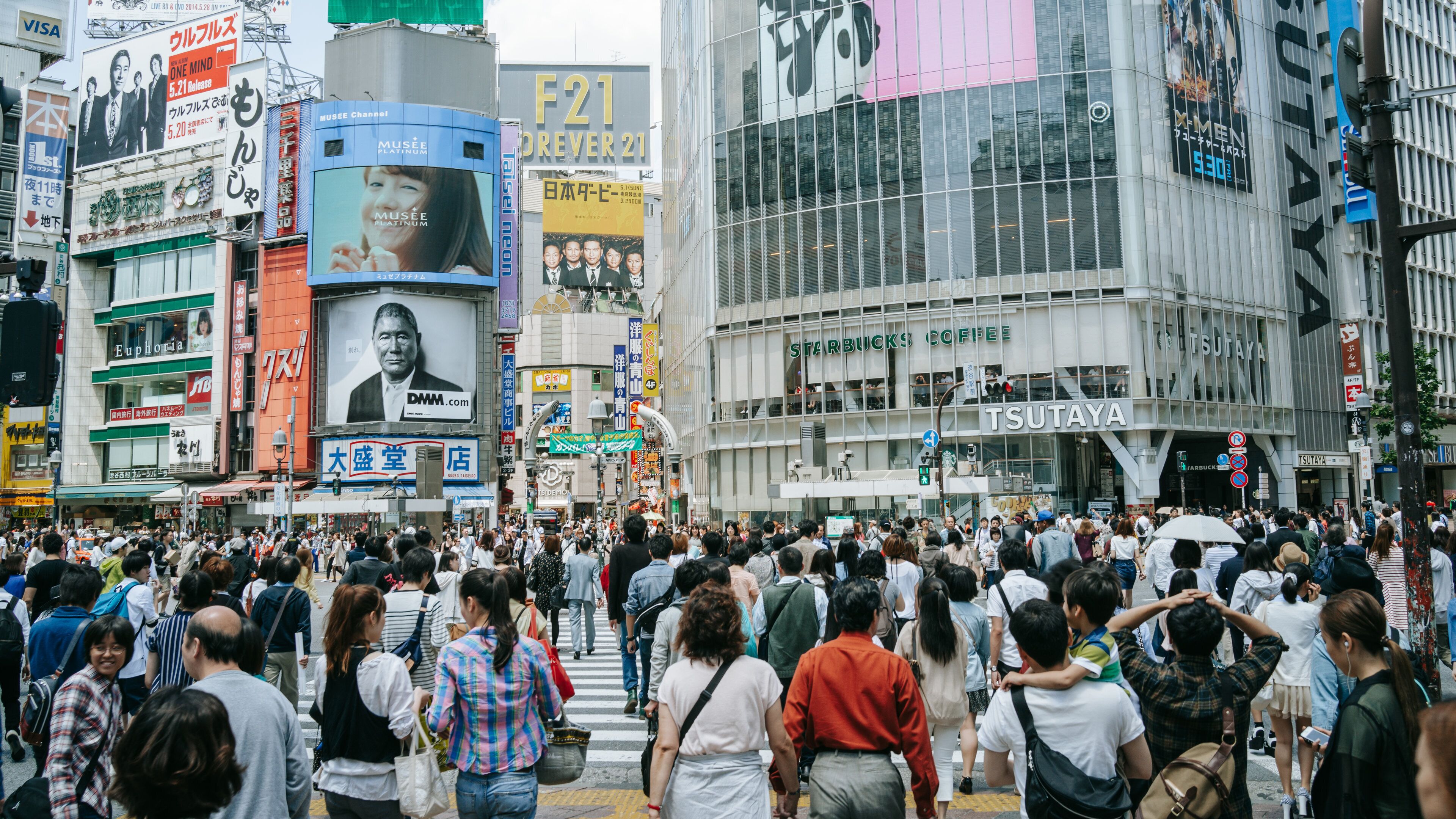 Shibuya featuring a city, cbd and street scenes